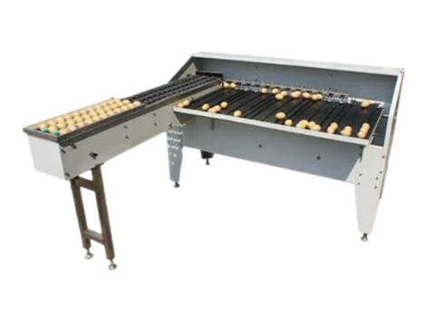 egg sorting machine