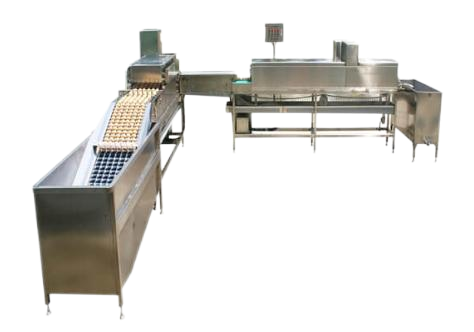 Salted duck egg cleaning line